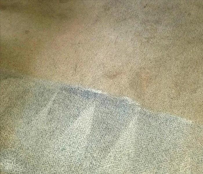 Carpet coming back to life from a house fire