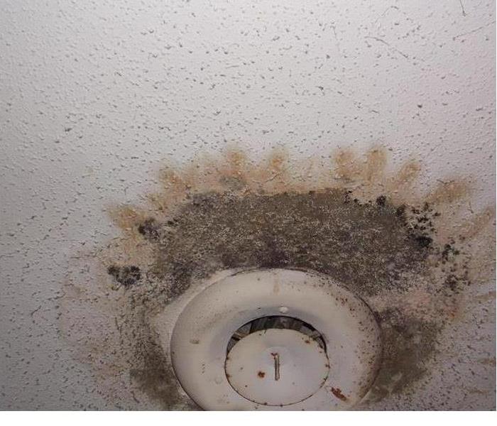 a ceiling exhaust fan covered in mold